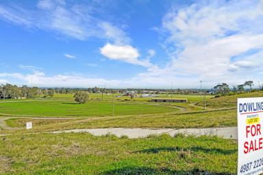 Residential Block For Sale - NSW - Raymond Terrace - 2324 - JUST 4 LOTS AVAILABLE  - ROSLYN PARK ESTATE!  (Image 2)