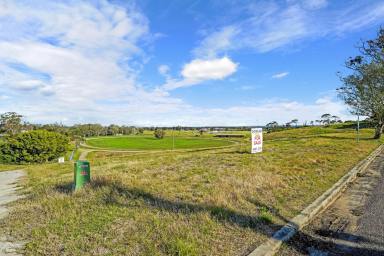 Residential Block For Sale - NSW - Raymond Terrace - 2324 - JUST 3 LOTS AVAILABLE  - ROSLYN PARK ESTATE!  (Image 2)