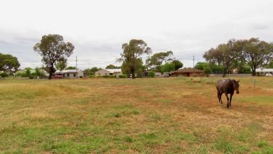Residential Block For Sale - SA - Penola - 5277 - Portland Street Building Opportunity  (Image 2)