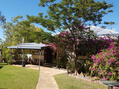 Business For Sale - QLD - Blackall - 4472 - FREEHOLD CARAVAN PARK WITH 3BR RESIDENCE ON 8010 SQM IN HEART OF TOWN  (Image 2)