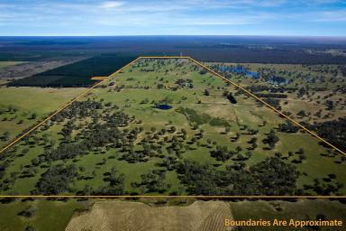 Other (Rural) For Sale - VIC - Poolaijelo - 3312 - IDEAL BREEDING AND FATTENING PROPERTY  (Image 2)
