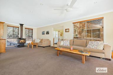 House Sold - NSW - Picton - 2571 - Country escape on the vineyard! 4592m2  (Image 2)