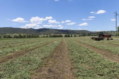 Residential Block For Sale - NSW - Scone - 2337 - 105 acres of highly productive agricultural land, located minutes from Scone, the Horse Capital of Australia  (Image 2)