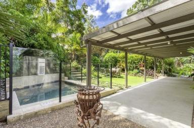 House For Lease - QLD - Cooroy - 4563 - Elegant Queenslander Retreat at 31 Topaz Street  (Image 2)