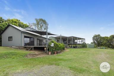 Lifestyle For Sale - QLD - Island Plantation - 4650 - Acreage, Large Home, Shed  (Image 2)