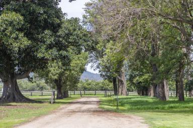 Commercial Farming For Sale - NSW - Scone - 2337 - 129 acres of prime agricultural land minutes from the township of Scone  (Image 2)