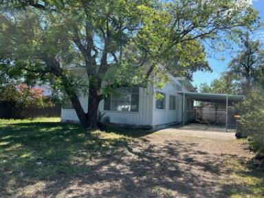 House For Lease - NSW - Moree - 2400 - Great Location  (Image 2)