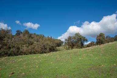 Other (Rural) Sold - WA - North Dandalup - 6207 - River Frontage, Views  & National Park  (Image 2)