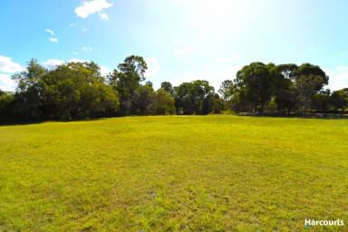 Residential Block For Sale - QLD - South Isis - 4660 - ACRE BLOCK 2 MINUTES TO CHILDERS  (Image 2)