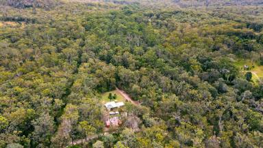 Residential Block Sold - QLD - Moomin - 4887 - Private Haven– 8.27acre Natural Bushland Block  (Image 2)