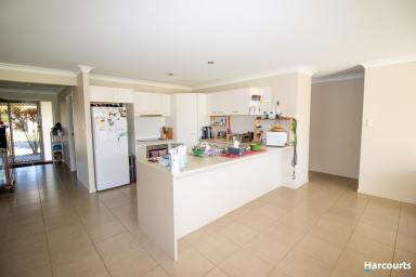 House Leased - QLD - Kalkie - 4670 - Beautiful Spacious Family Home located in Kalkie  (Image 2)