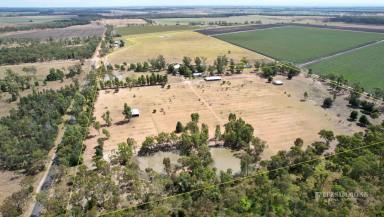 Lifestyle For Sale - QLD - Dalby - 4405 - AWESOME RURAL LIFESTYLE PROPERTY ON 75 ACRES  (Image 2)