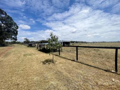Lifestyle For Sale - QLD - Dalby - 4405 - AWESOME RURAL LIFESTYLE PROPERTY ON 75 ACRES  (Image 2)