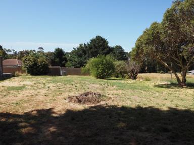 Residential Block For Sale - VIC - Linton - 3360 - Established 1268M2 (Approx) Land Offering For Your New Home  (Image 2)