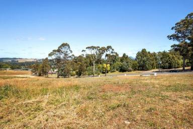 Residential Block For Sale - TAS - West Ulverstone - 7315 - BUILD YOUR DREAM HOME! (Image 2)