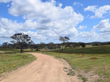 Lifestyle Sold - NSW - Gundaroo - 2620 - Rural Grazing with Development Opportunity  (Image 2)