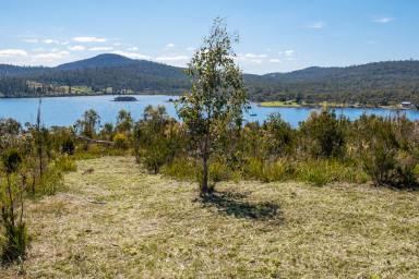 Residential Block For Sale - TAS - Murdunna - 7178 - Last lot available at Bright Waters Estate!  (Image 2)