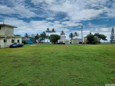 Residential Block For Sale - QLD - Tully Heads - 4854 - FANTASTIC OPPORTUNITY TO BUILD YOUR DREAM BEACH HOUSE  (Image 2)