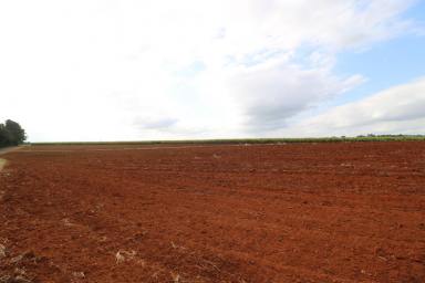 Residential Block Sold - QLD - South Isis - 4660 - 27.9 ACRES OF RED SOIL WITH 35 MEG WATER  (Image 2)