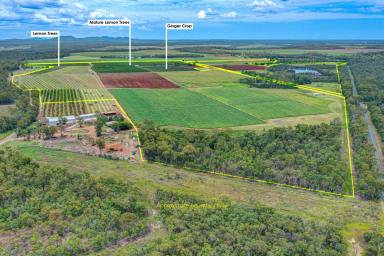 Cropping For Sale - QLD - Bullyard - 4671 - VERSATILE FARMLAND WITH POTENTIAL TO GROW SUGAR CANE AND MORE  (Image 2)