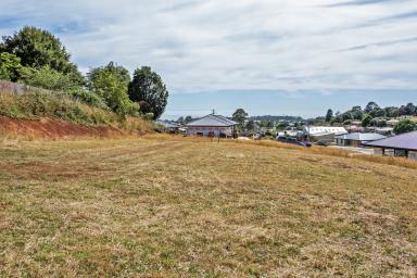 Residential Block Sold - TAS - Downlands - 7320 - Quality location, ideal setting, plan now!  (Image 2)