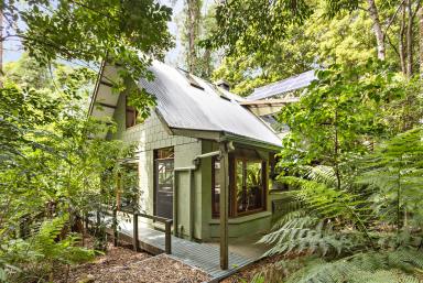 Lifestyle Sold - NSW - Foxground - 2534 - 'Lyrebird Gully' - A Unique Rainforest Retreat  (Image 2)