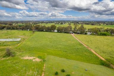 Lifestyle For Sale - NSW - Cowra - 2794 - BEAUTIFUL COUNTRY HOME & 10ACRES OF PRIME RIVERFRONTAGE!  (Image 2)