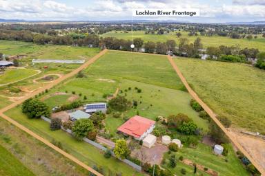 Lifestyle For Sale - NSW - Cowra - 2794 - BEAUTIFUL COUNTRY HOME & 10ACRES OF PRIME RIVERFRONTAGE!  (Image 2)