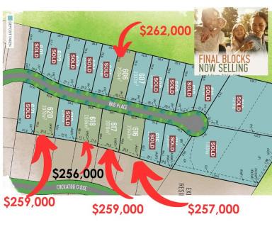 Residential Block For Sale - NSW - Scone - 2337 - DEVELOPERS FINAL BLOCKS NOW SELLING!
HURRY WITH ONLY FIVE LOTS LEFT ....LOT 620, LOT 618 AND NEWLY RELEASED 616, Lt 617 & Lt 606  (Image 2)