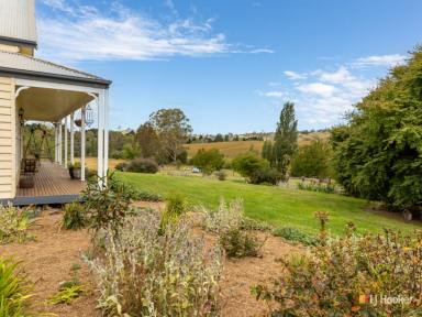 Acreage/Semi-rural Sold - NSW - Candelo - 2550 - COUNTRY COTTAGE IN A RURAL SETTING  (Image 2)