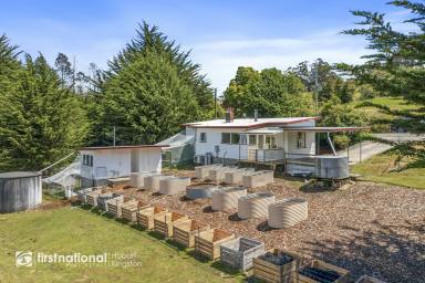 House Sold - TAS - Lower Longley - 7109 - Breathtaking and Affordable Rural Living  (Image 2)