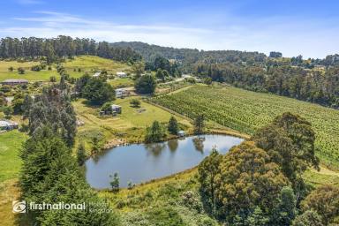 House Sold - TAS - Lower Longley - 7109 - Breathtaking and Affordable Rural Living  (Image 2)