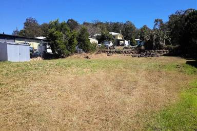 Residential Block Sold - QLD - Ravenshoe - 4888 - 1,012 m2 block in the middle of Ravenshoe  (Image 2)