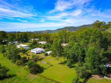 Residential Block Sold - NSW - Bellbrook - 2440 - Land Available in Bellbrook  (Image 2)