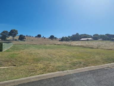 Residential Block For Sale - NSW - Gundagai - 2722 - Residential building block with great outlook  (Image 2)