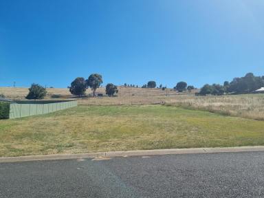 Residential Block For Sale - NSW - Gundagai - 2722 - Residential building block with great outlook  (Image 2)