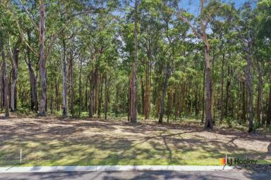 Residential Block Sold - NSW - Long Beach - 2536 - THE BEST VALUE ACREAGE BLOCK IN THE BATEMANS BAY REGION  (Image 2)