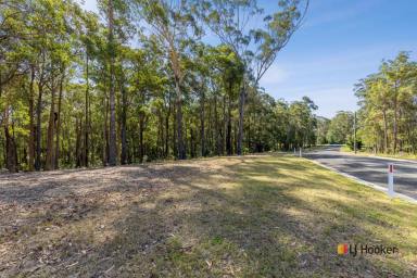 Residential Block Sold - NSW - Long Beach - 2536 - THE BEST VALUE ACREAGE BLOCK IN THE BATEMANS BAY REGION  (Image 2)