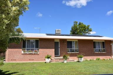 House For Lease - NSW - Moree - 2400 - 3 Bedroom House for Rent  (Image 2)