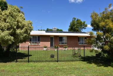 House For Lease - NSW - Moree - 2400 - 3 Bedroom House for Rent  (Image 2)
