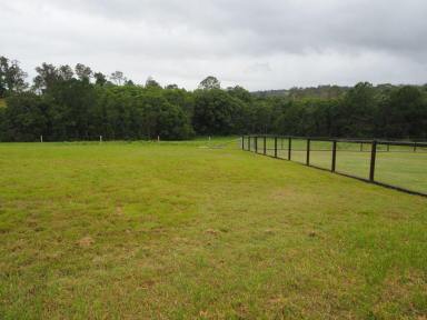Residential Block For Sale - QLD - Veteran - 4570 - QUIET SECLUDED BLOCK  (Image 2)