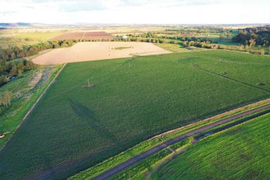Mixed Farming For Sale - NSW - Kyogle - 2474 - AS VERSATILE PROPERTY AS IT GETS  (Image 2)
