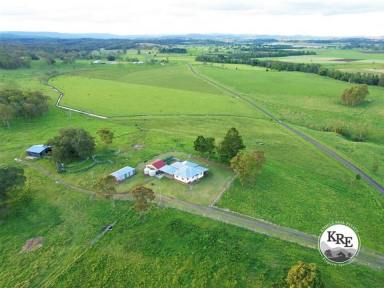Mixed Farming For Sale - NSW - Kyogle - 2474 - PRIME AG COUNTRY WITH 250ML OF IRRIGATION  (Image 2)