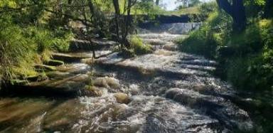 Mixed Farming For Sale - NSW - Kyogle - 2474 - PRIME AG COUNTRY WITH 250ML OF IRRIGATION  (Image 2)