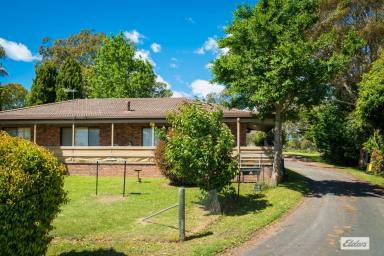 House Sold - NSW - Bega - 2550 - 98 East St - Bega  (Image 2)