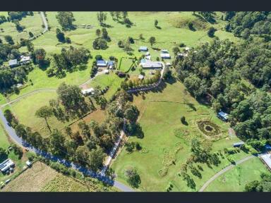 Acreage/Semi-rural For Sale - QLD - Cambroon - 4552 - 2 Dwellings – Quality Home & Guest Wing on 21 acres  (Image 2)