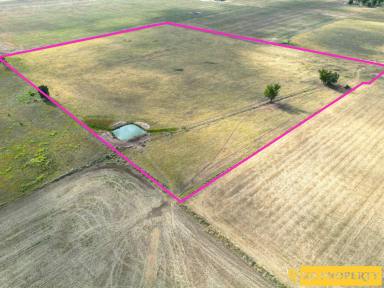 Residential Block For Sale - NSW - Narrabri - 2390 - 5 ACRE LIFESTYLE BLOCKS - CAPTURE THE COUNTRY FEELING  (Image 2)
