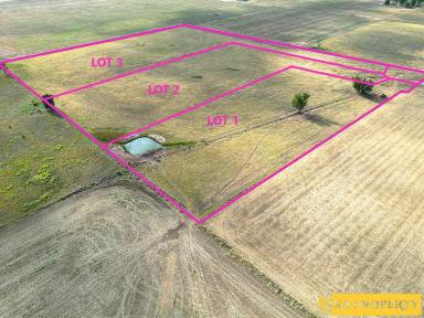 Residential Block For Sale - NSW - Narrabri - 2390 - 5 ACRE LIFESTYLE BLOCKS - CAPTURE THE COUNTRY FEELING  (Image 2)