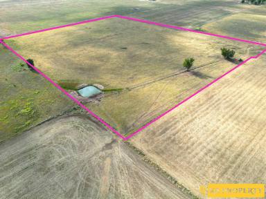 Residential Block For Sale - NSW - Narrabri - 2390 - 3 x 5 ACRE BLOCKS TO CHOOSE FROM - CAPTURE THE COUNTRY FEELING  (Image 2)