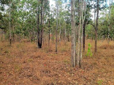Residential Block For Sale - QLD - Millstream - 4888 - Three acres on the Millstream  (Image 2)